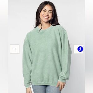 NWOT- Women's sage Sweatshirt